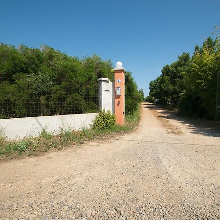 Гостевой дом Fattoria Corte Noa Masainas Экстерьер фото